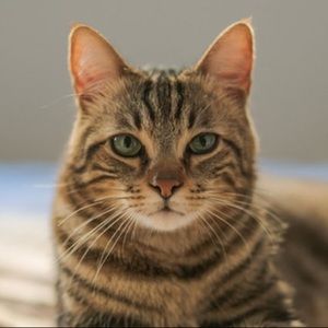 Meet your Posher, Joanna